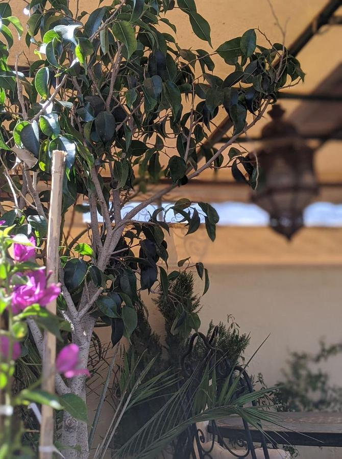 Dar Mehdi Hotel Fes Exterior photo